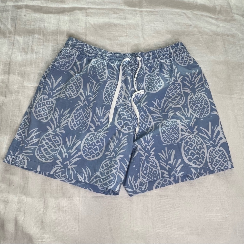 Chubbies Blue Pineapple Print Men's Swim Shorts XL Zipper Back Pocket